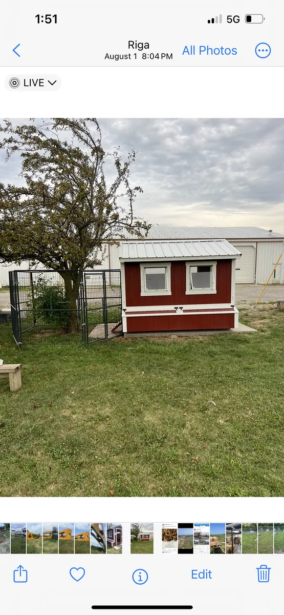 Phone screenshot of a small red chicken coop with a metal roof next to a fenced pen.