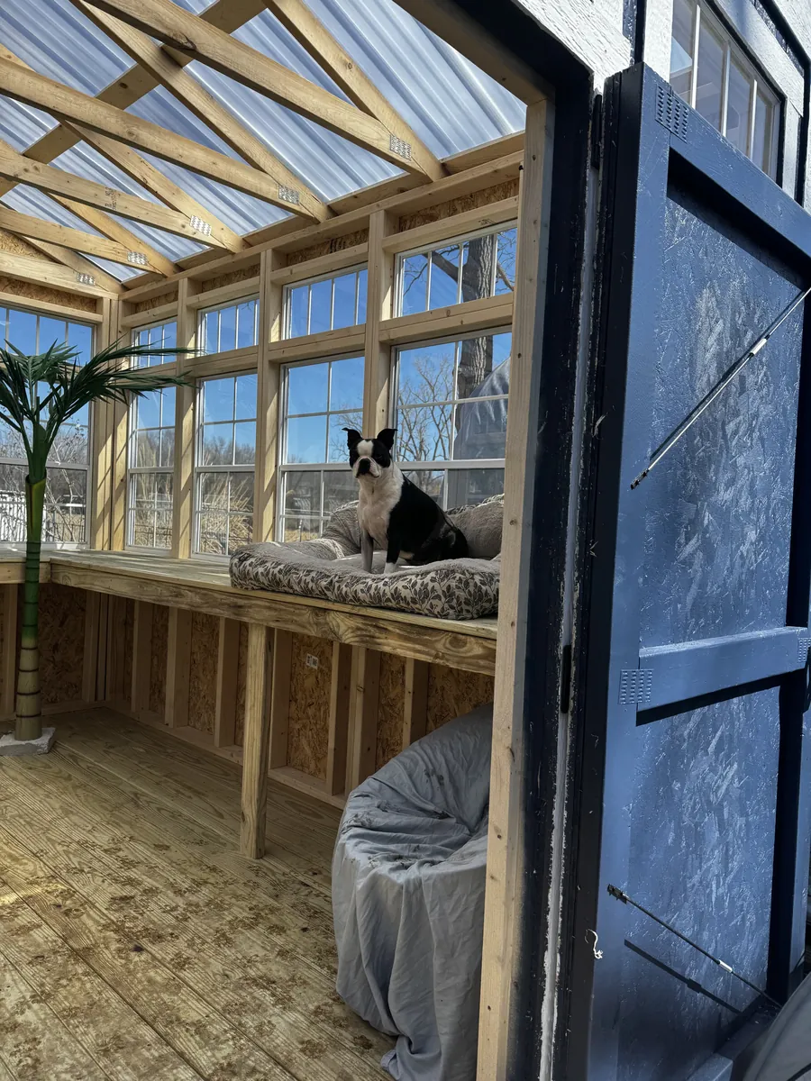 Interior of a wood-framed shed with clear roof panels, large windows, and a dog sitting on a bench cushion.